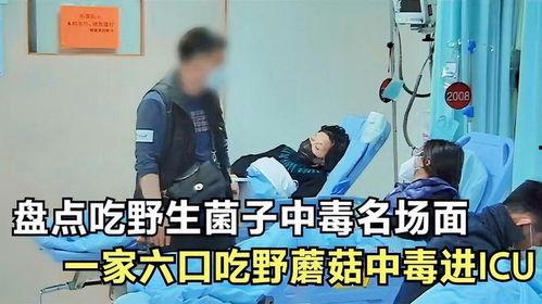 中病毒搞笑视频,搞笑视频带你领略欢乐无限